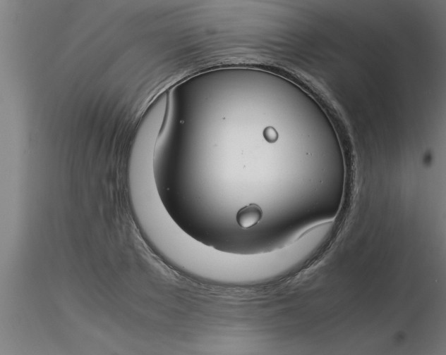 X0000116370889200912231313