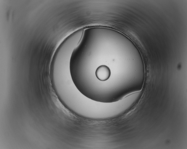 X0000116370892200912231313