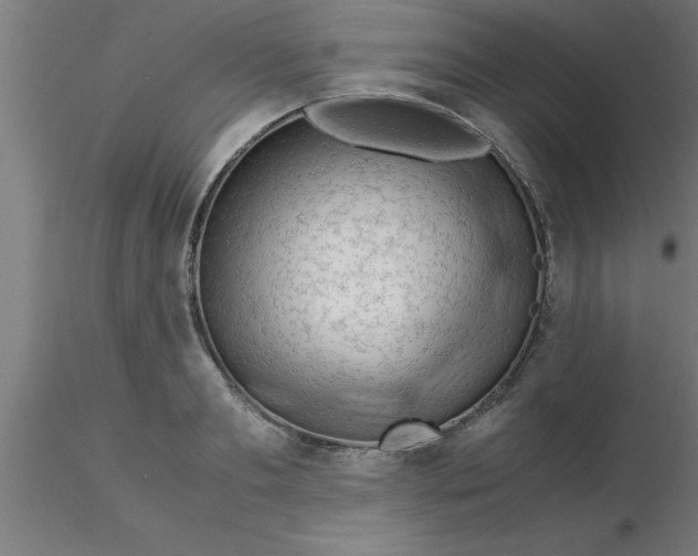 X0000116370893200912231313