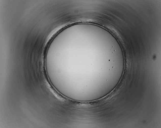 X0000116370894200912231313