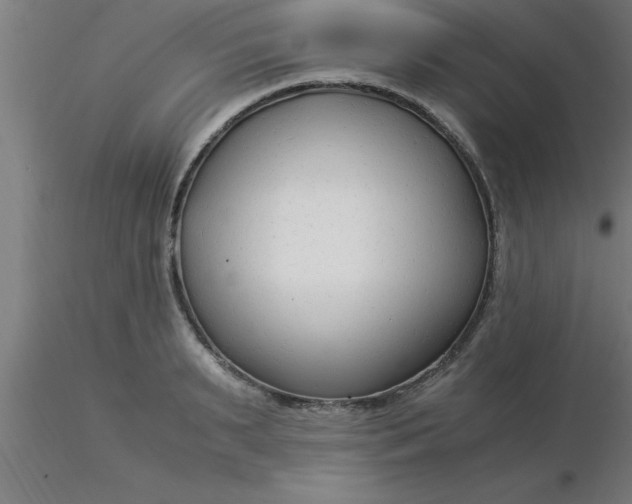 X0000116370895200912231313