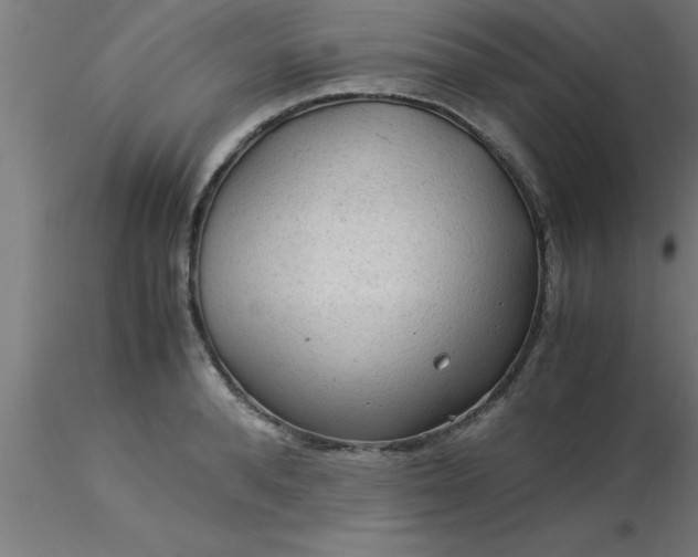 X0000116370896200912231313