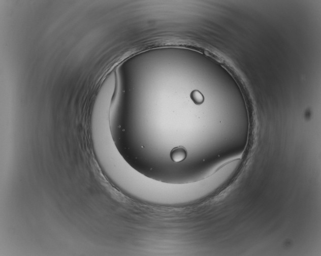 X0000116370897200912231313