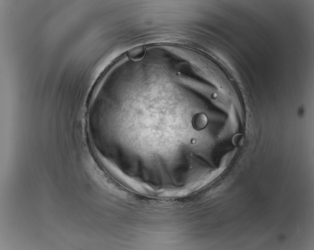 X0000116370899200912231313