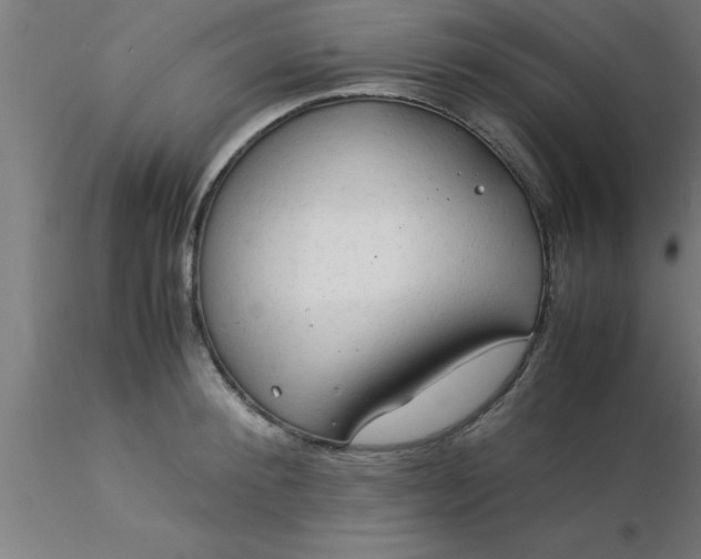 X0000116370900200912231313