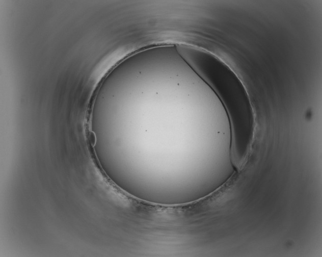 X0000116370901200912231313