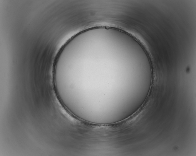 X0000116370902200912231313