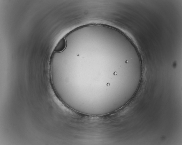 X0000116370903200912231313