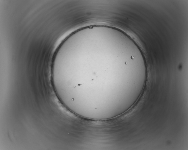 X0000116370904200912231313