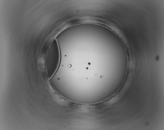 X0000116370905200912231313