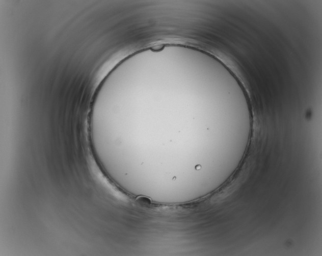 X0000116370906200912231313