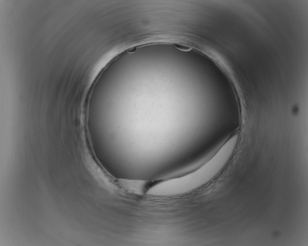 X0000116370907200912231313