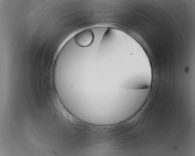 X0000116370908200912231313