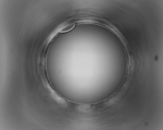 X0000116370909200912231313