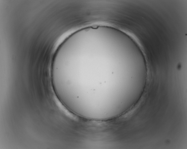 X0000116370910200912231313