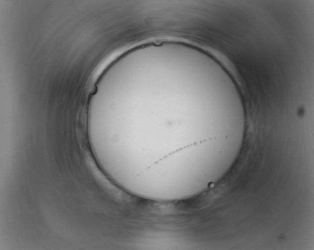 X0000116370911200912231313