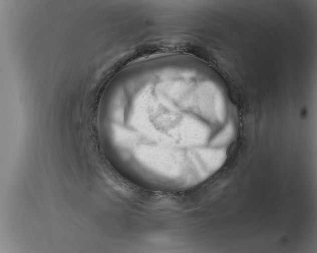 X0000116370913200912231312