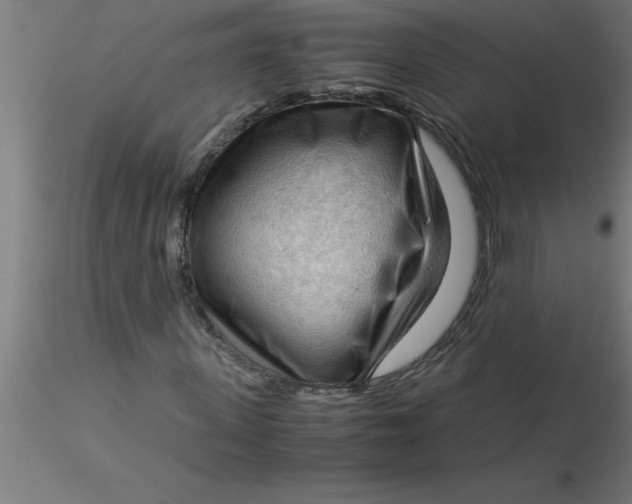 X0000116370915200912231312