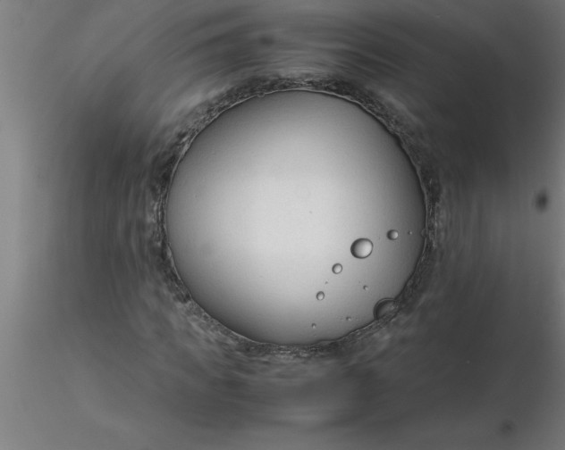 X0000116370917200912231312