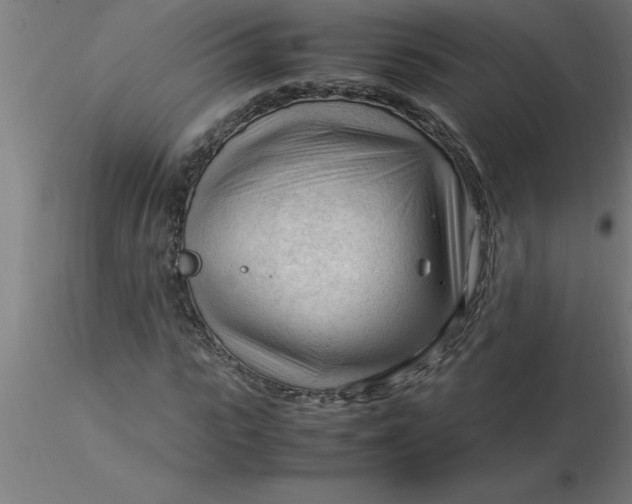 X0000116370919200912231312