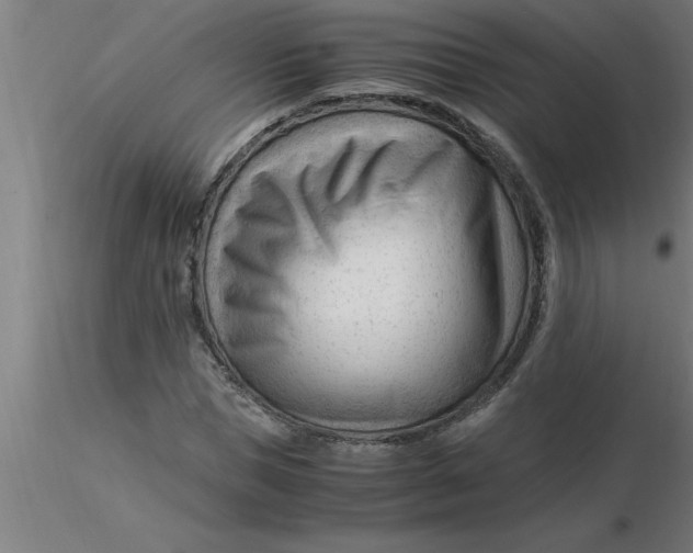 X0000116370921200912231312