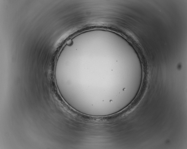 X0000116370922200912231312