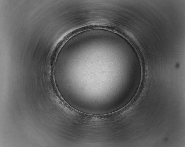 X0000116370923200912231312