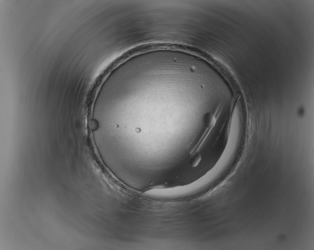 X0000116370925200912231312