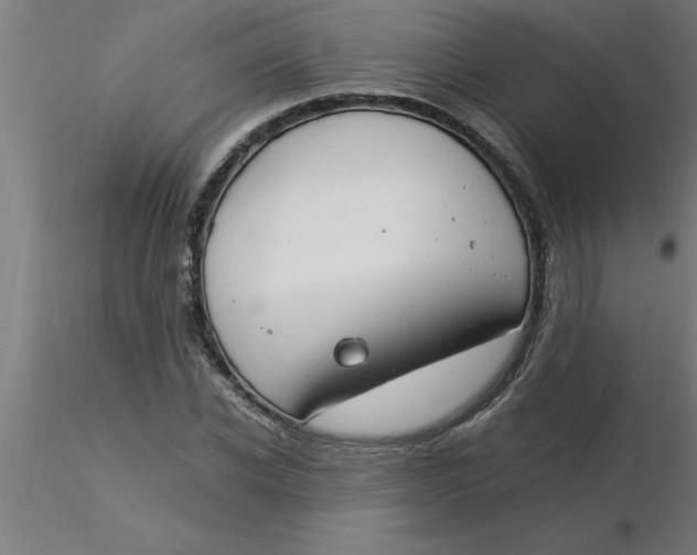 X0000116370926200912231313