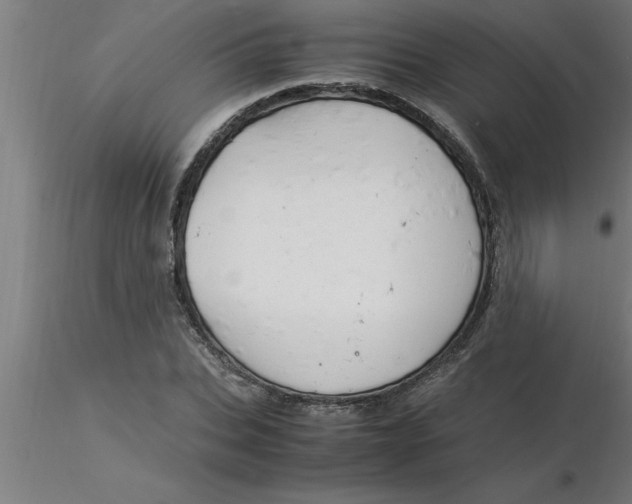 X0000116370927200912231313