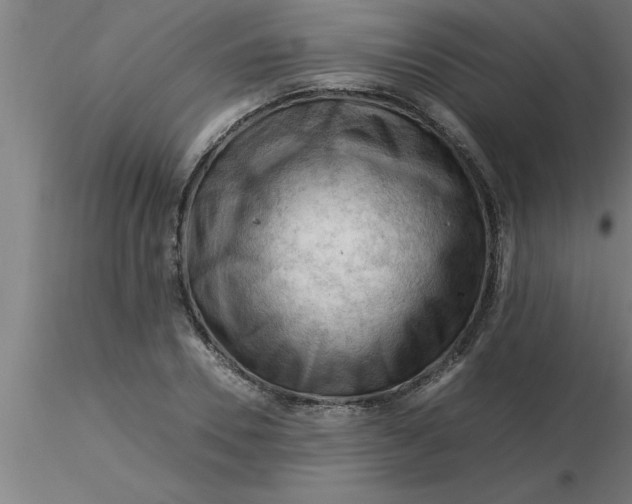 X0000116370930200912231313