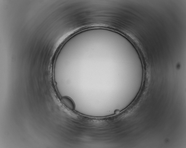 X0000116370933200912231313