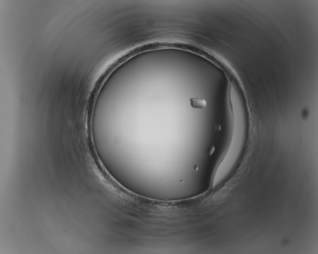 X0000116370935200912231313