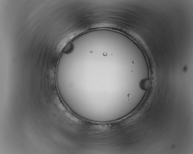 X0000116370937200912231313