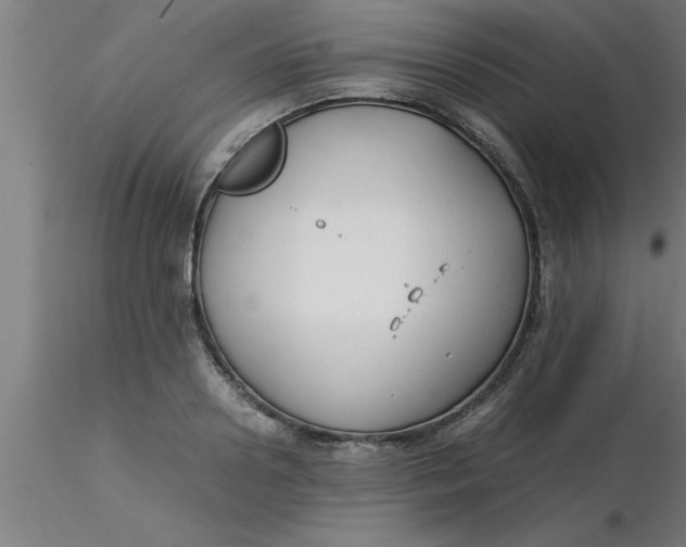 X0000116370938200912231313