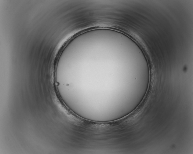 X0000116370939200912231313