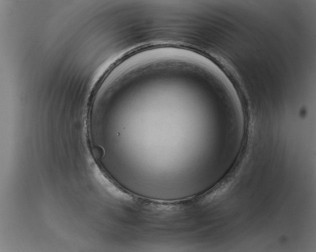 X0000116370941200912231313