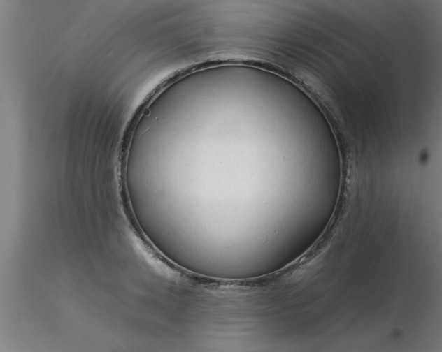 X0000116370942200912231313