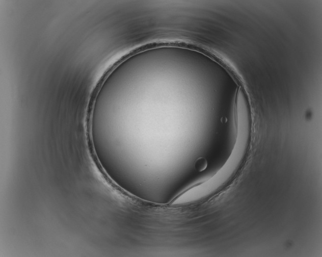 X0000116370943200912231313