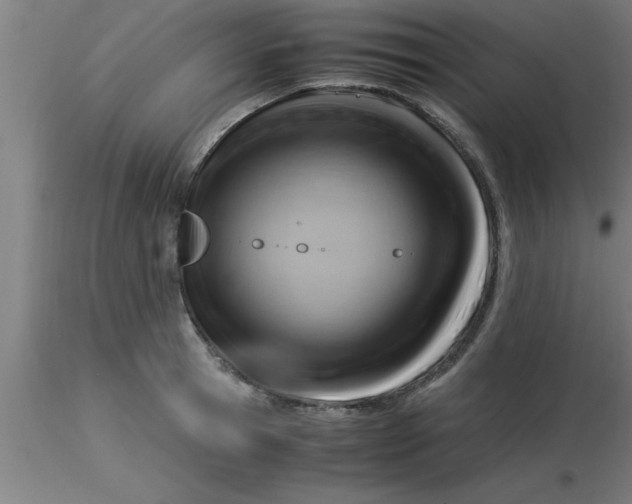 X0000116370945200912231313