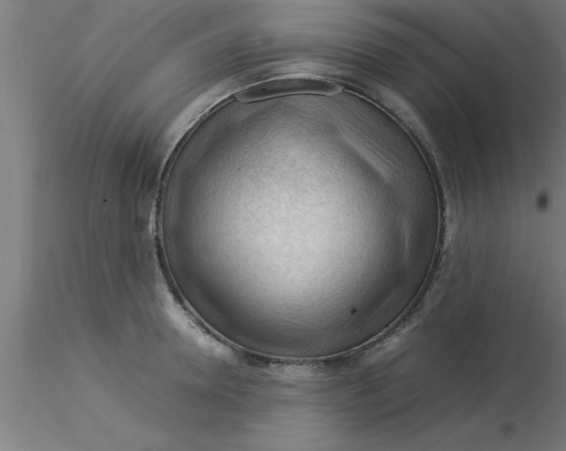 X0000116370946200912231313