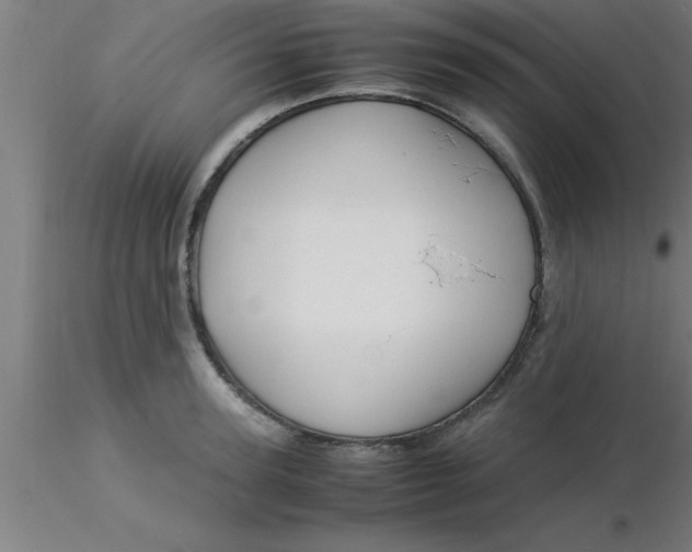 X0000116370947200912231313