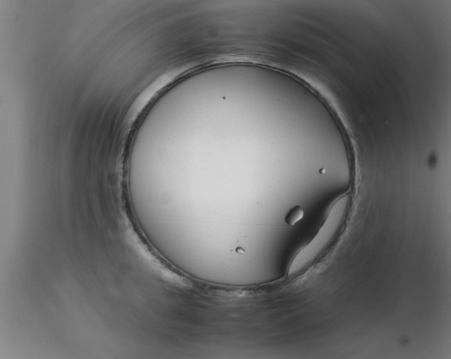 X0000116370949200912231313