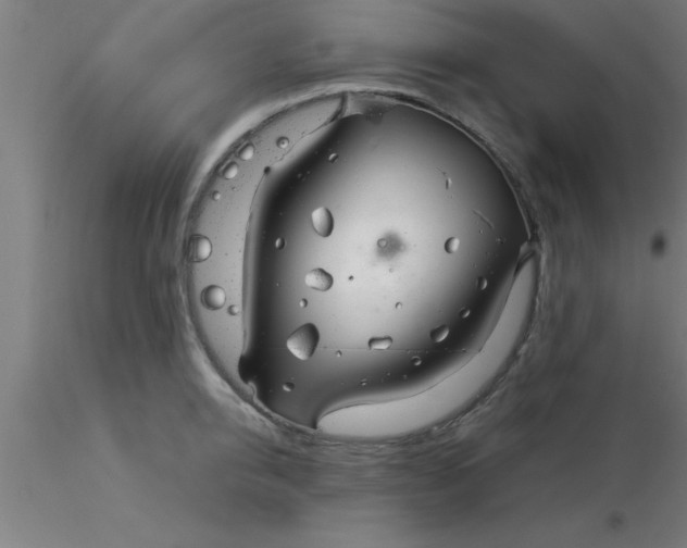 X0000116370950200912231313