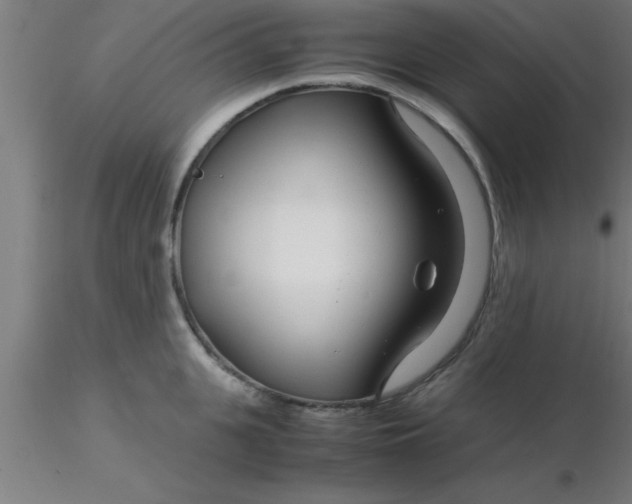 X0000116370951200912231313