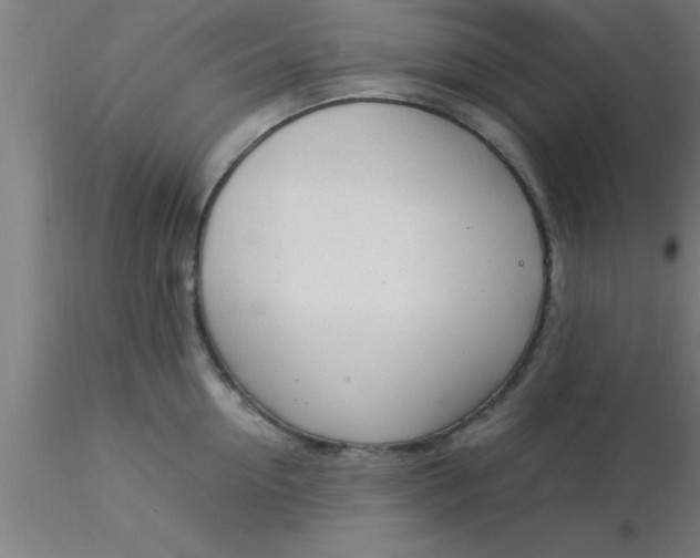 X0000116370954200912231313