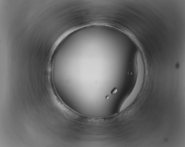 X0000116370955200912231313