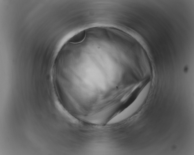 X0000116370958200912231313