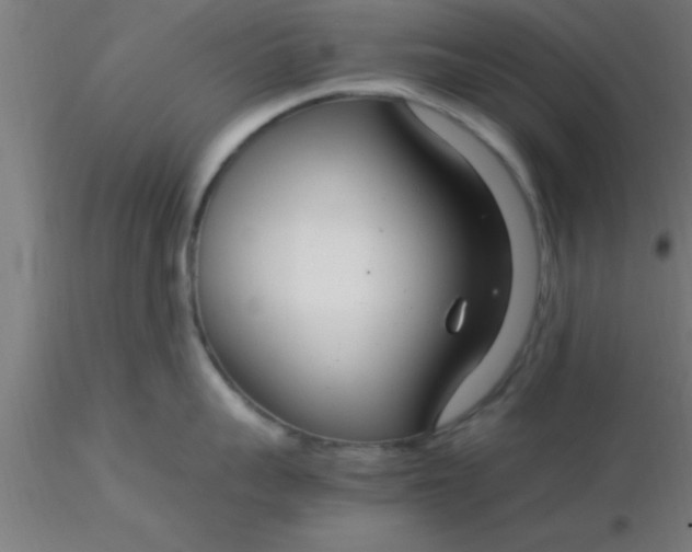 X0000116370959200912231313