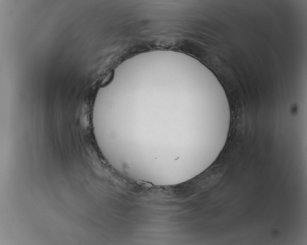 X0000116370962200912231312